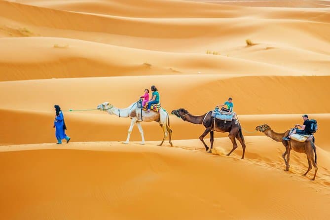Sahara Desert Adventure